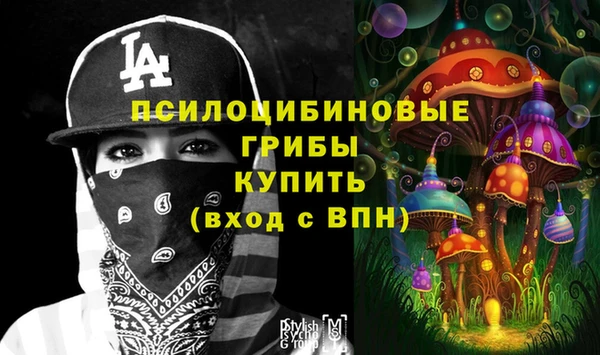mdma Новодвинск