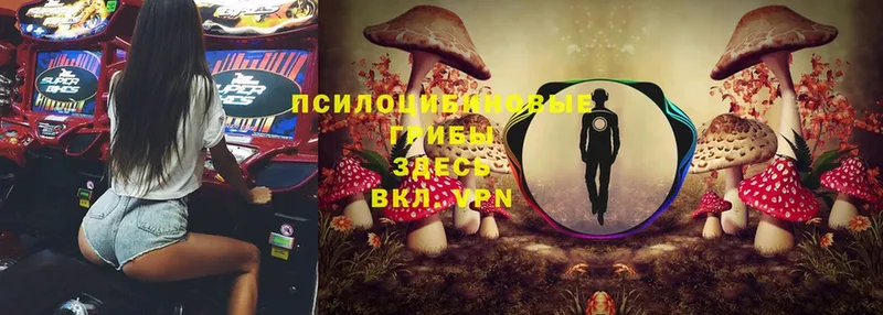 Галлюциногенные грибы MAGIC MUSHROOMS  Красноярск 