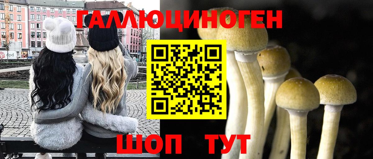 Красноярск  Галлюциногенные грибы прущие грибы  Вход с VPN 