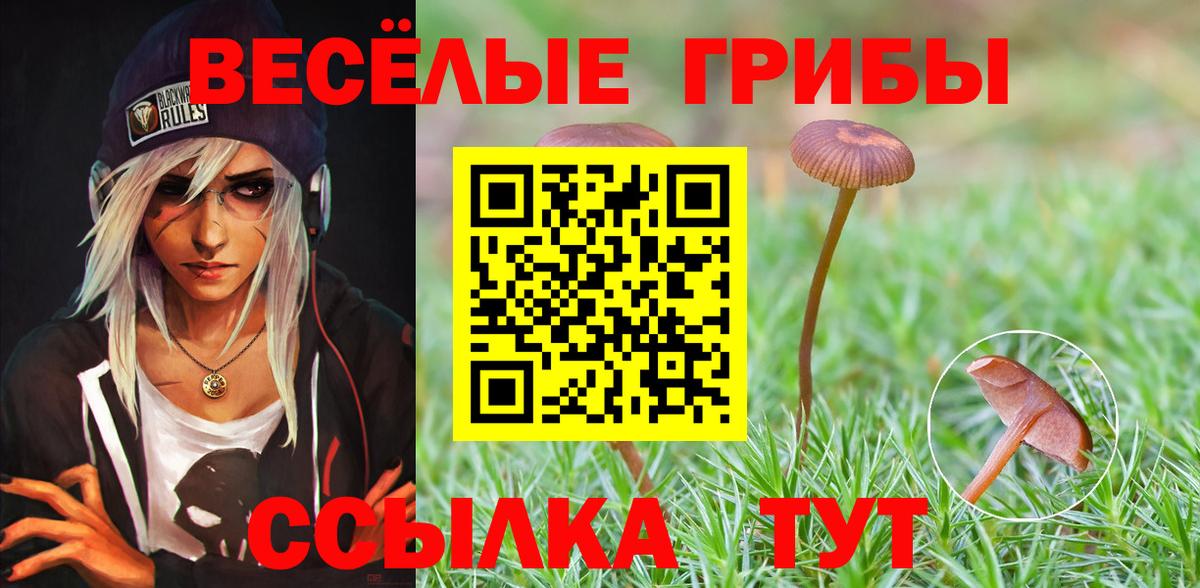Псилоцибиновые грибы мухоморы Красноярск