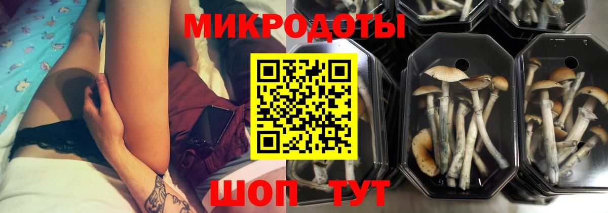 Альфа ПВП Красноярск