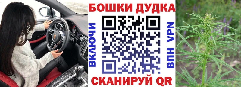 Канабис план MEGA онион Красноярск купить наркоту
